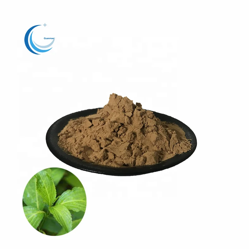 Pure natrual isatis tinctoria Indigowoad Leaf Folium Isatidis Extract powder