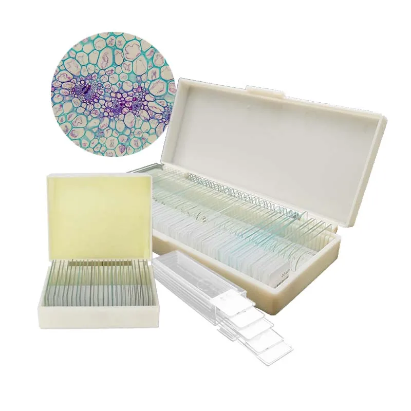 Factory Educational equipment Medical science Provide science lab researching prepared slides for kids microscope