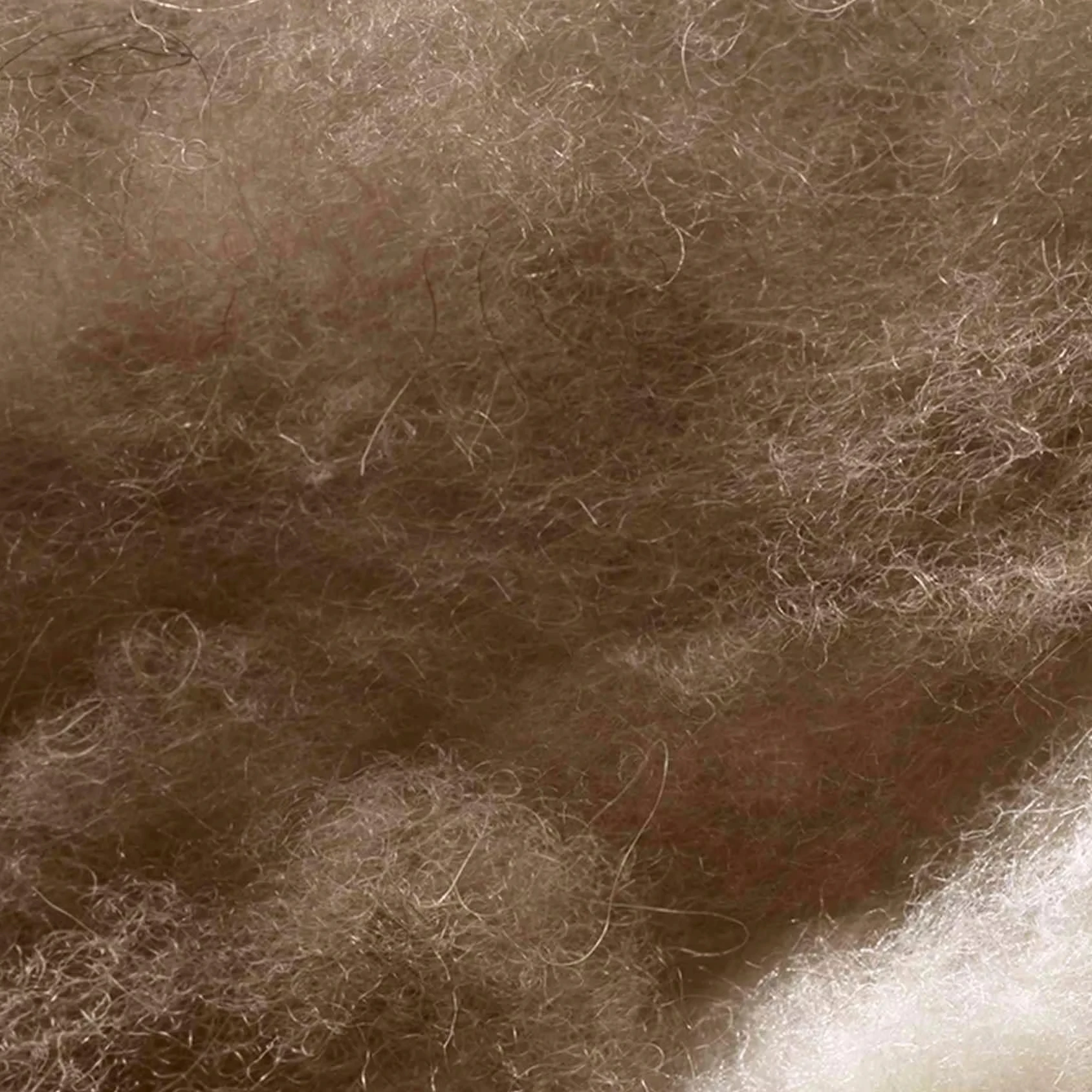 High Quality 100% Camel Hair Fiber Dehulled 21-22mic Flame Retardant for Home Spinning Premium Inventory