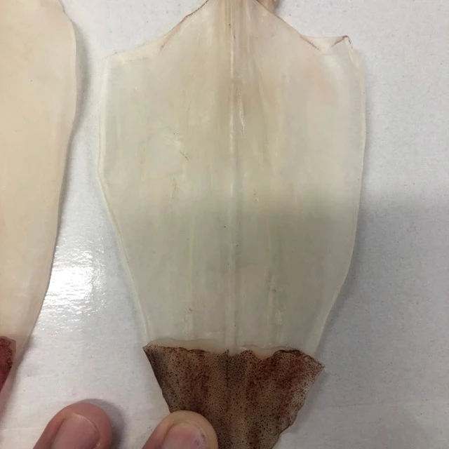 
Dried Squid skinless 