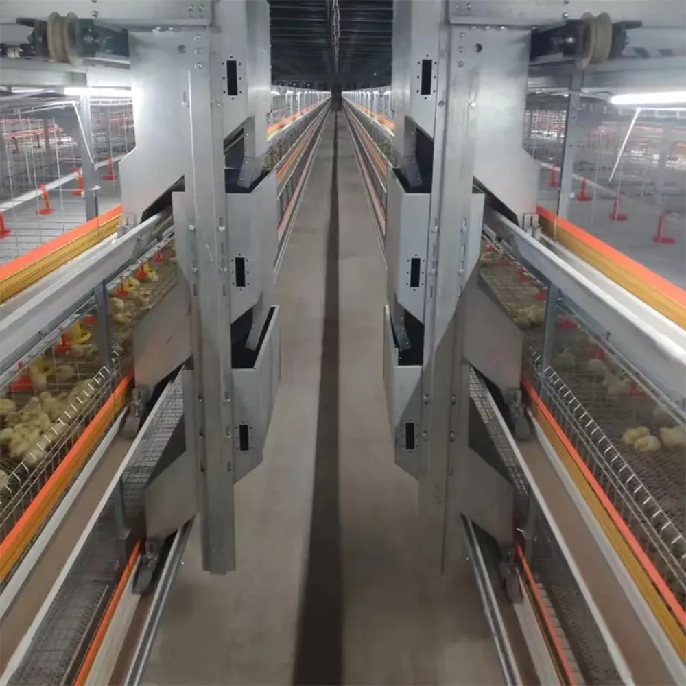 Modern Poultry Farm Equipment H Type Baby Chicks Feed House Automatic Battery Broiler Chicken Cage System For 50000 Birds
