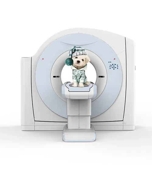 
Veterinary hospital vet computered tomography ct scan machine 