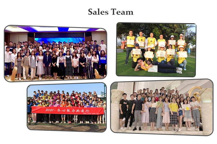 Our Team