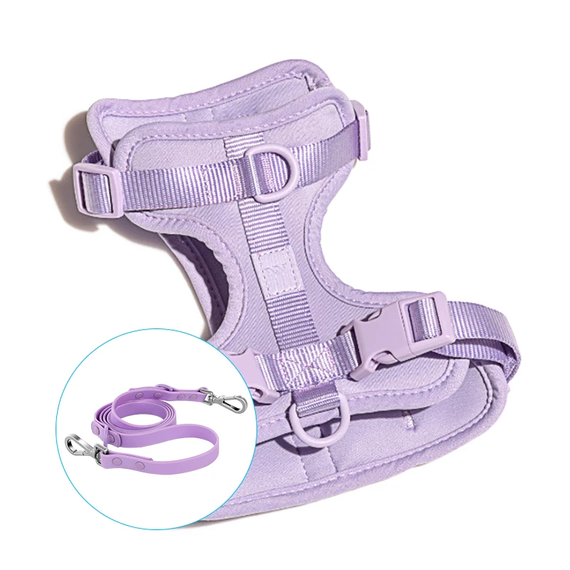 Gacent Pet Product Factory Customizable Light Purple Adjustable Soft Padded New Lightweight Dog Harness Leash Set