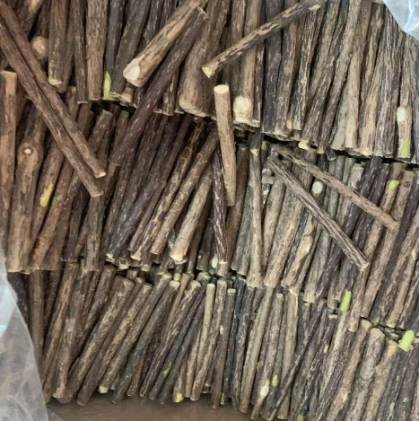 Factory Supply Cat Chew Toy Natural Dried Actinidia Polygama Sticks Silver Vine Sticks Matatabi Sticks