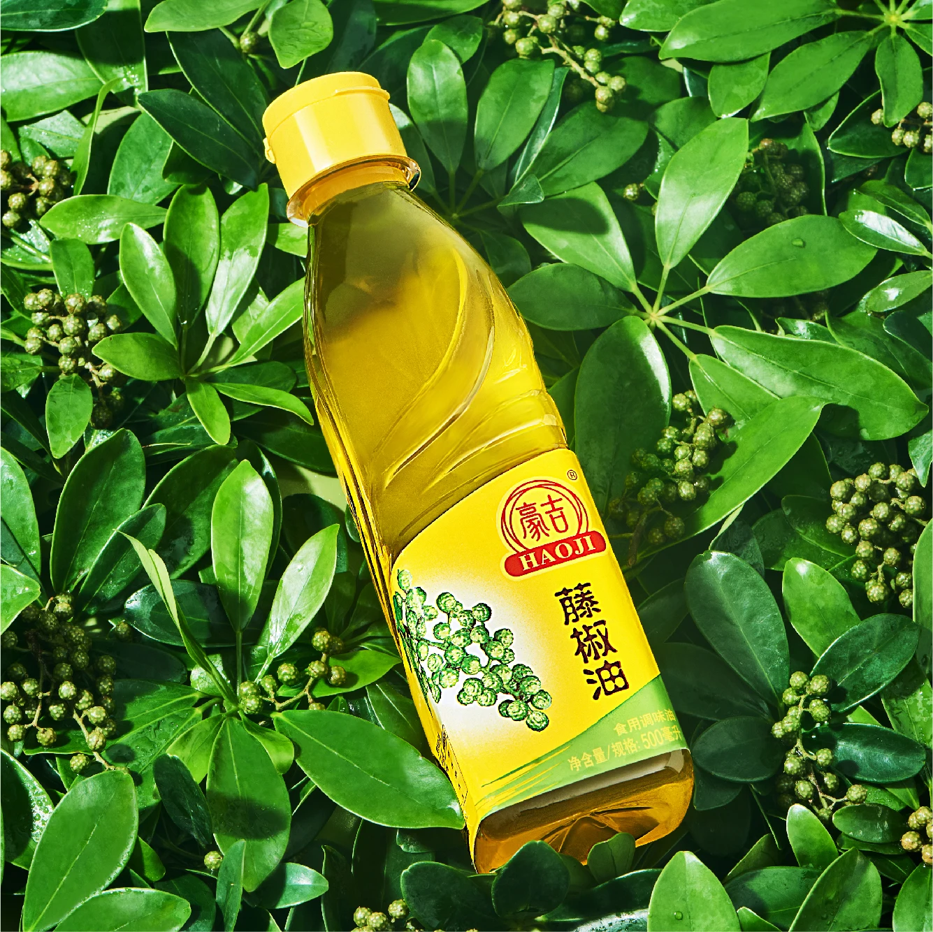 Haoji Chinese sichuan Manufacturer 12X500ml good taste hot selling wholesale HAOJI Green Pepper Oil