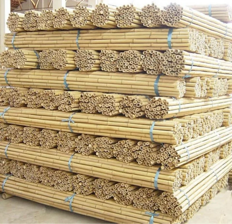 Natural straight bamboo stake Tonkin bamboo cane Guangdong original for planting