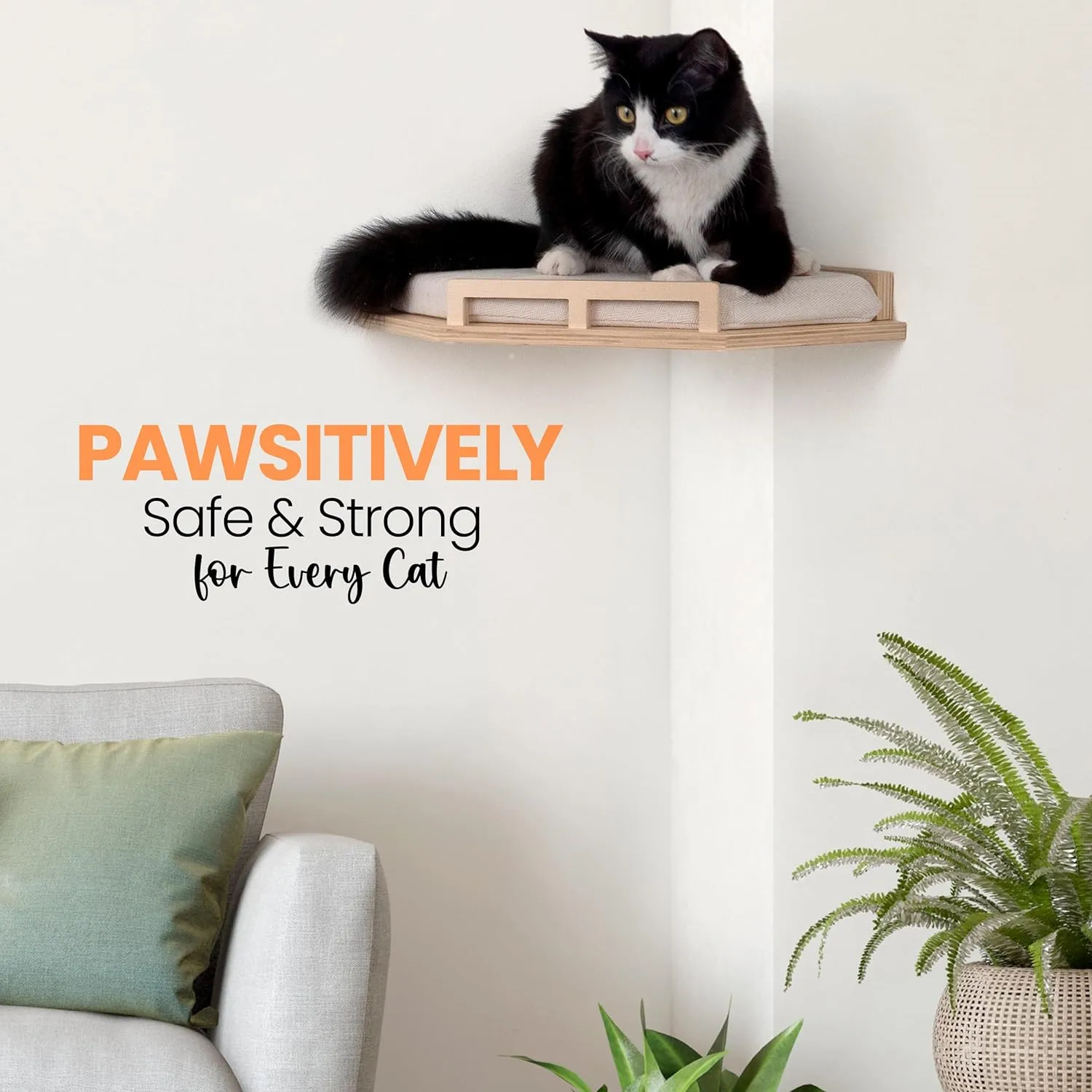 cat shelf3