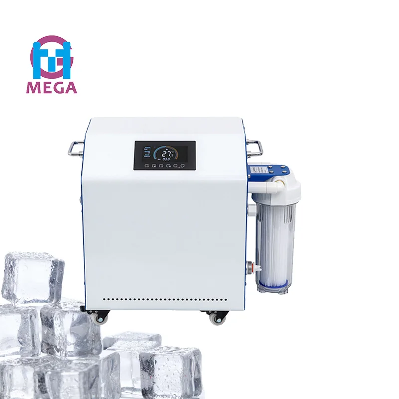 1/3 Hp 1/2 Hp 220V/50Hz охладитель для ледяной ванны с 20-микронным фильтром от производителя оптом