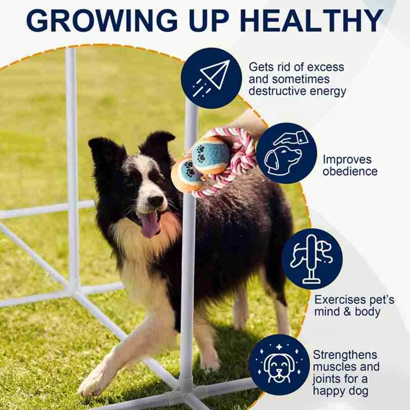 Custom Hot-selling Dog Agility Training Equipment Tunnel Poles Hurdles Exercise Pet Obstacle Course Agility Pet Training Set