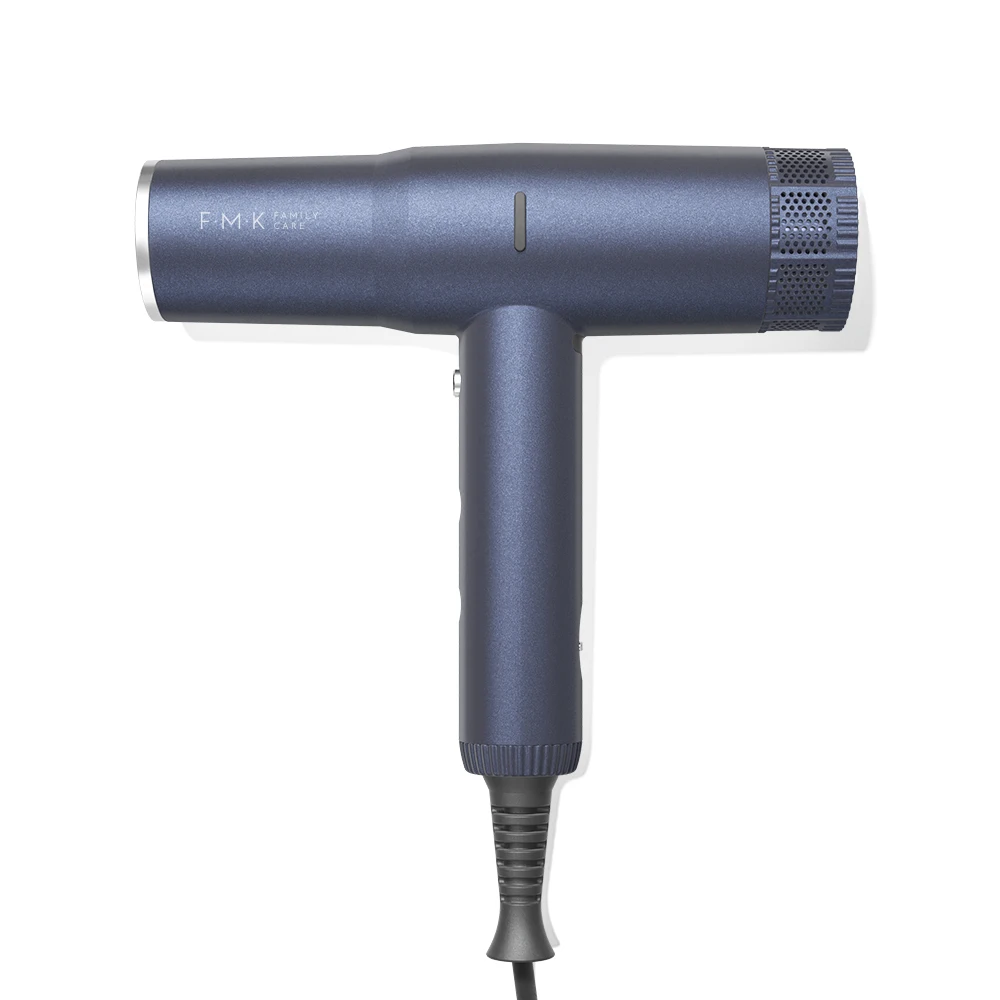 Wholesale High speed BLDC Brushless Motor Salon Equipment Professional Hairdryer New Blow Custom Hair Dryer  OEM  ODM