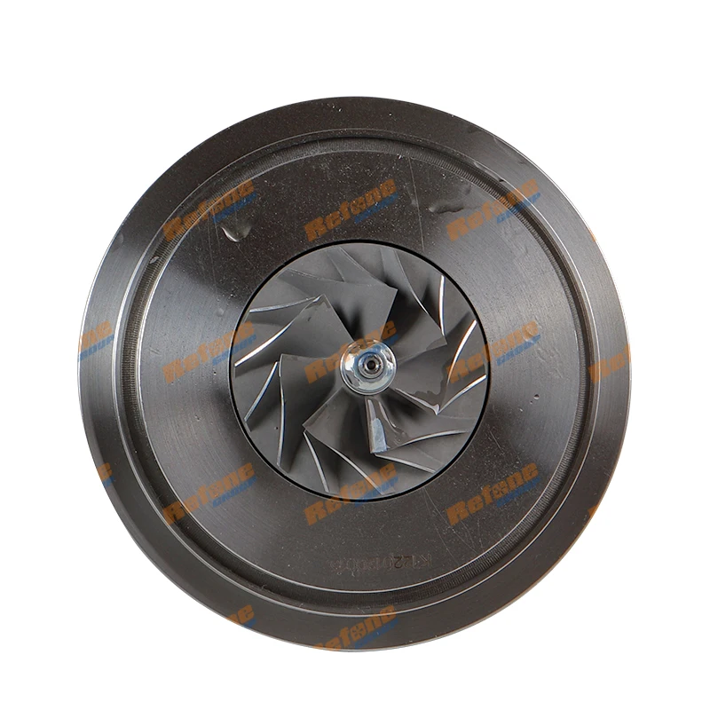 R2S B1 Turbo Core 1000-970-0106 1000-970-0107 1000-970- 0109   CHRA For MAN Truck/ Bus High Pressure