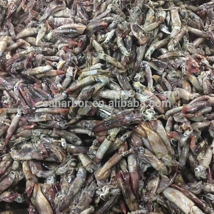 Good taste squid frozen giant squid black squid