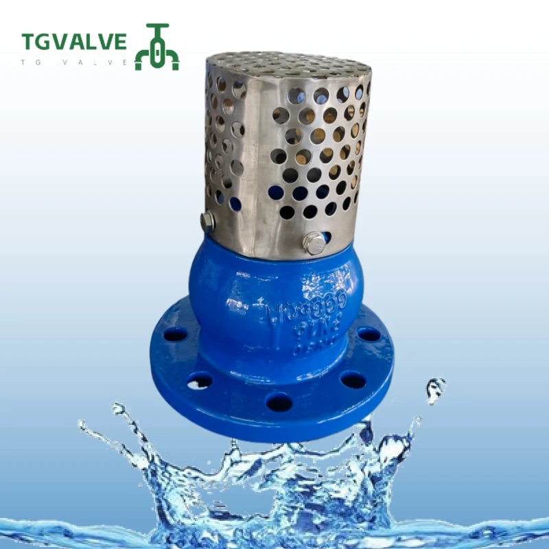 Bottom Premium Price Foot Valve Water With Strainer Ductile Cast Iron Foot Valve With Stainless Steel Strainer