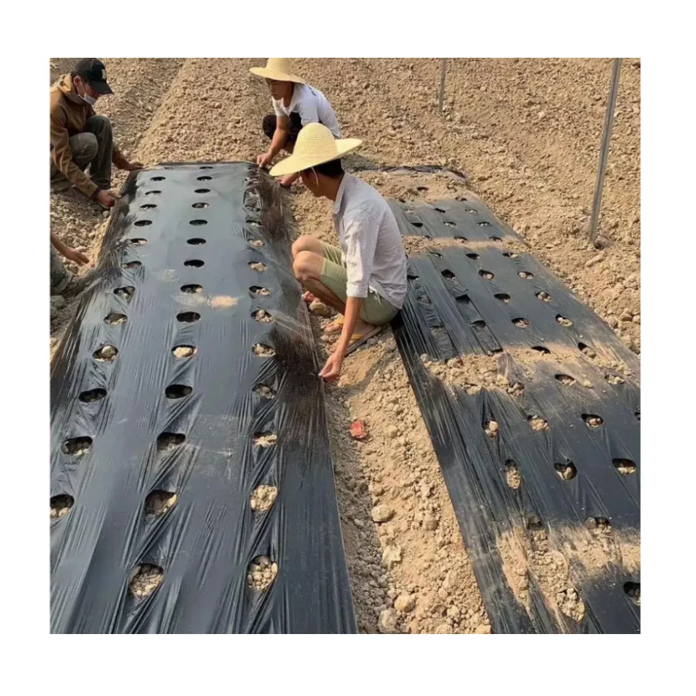 Оптовая продажа, черная пластиковая многослойная пленка на заказ, сельскохозяйственная пластиковая многослойная пленка с отверстиями