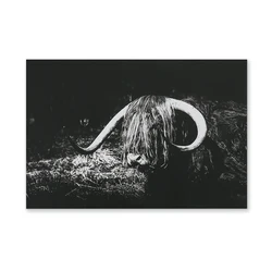 wall art canvas printing living room art pictures home decor prints