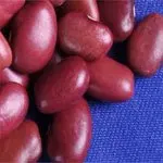 
High Quality and Best Selling Red Kidney Beans 