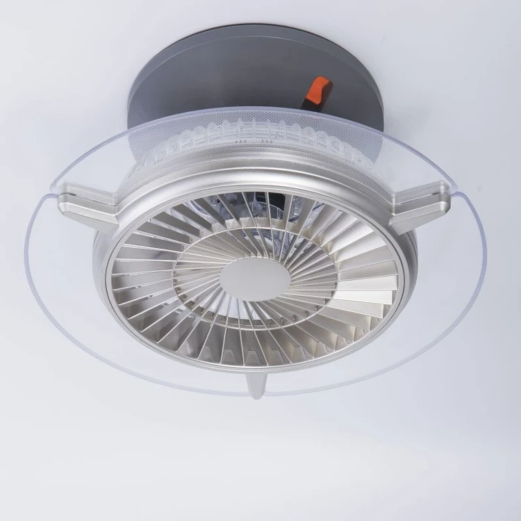 ceiling  fan  with  light