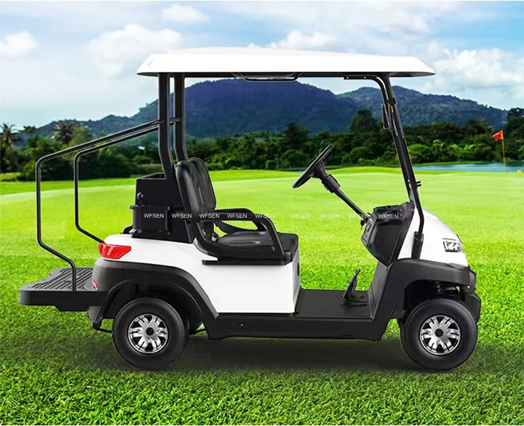 WFSEN S2 48v 4kw manufacturer mini 2 4 6 8 seater golf cart electric golf car with part