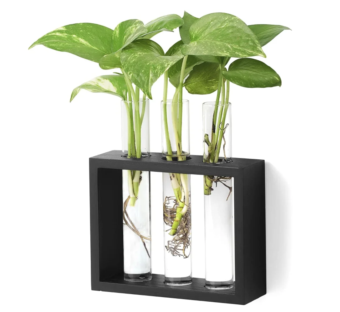 Wholesale Black Wall Hanging Glass Planter Plant Terrarium Modern Flower Bud Vase