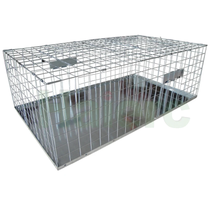 Foldable Multi Bird Catch Pigeon Trap Cage