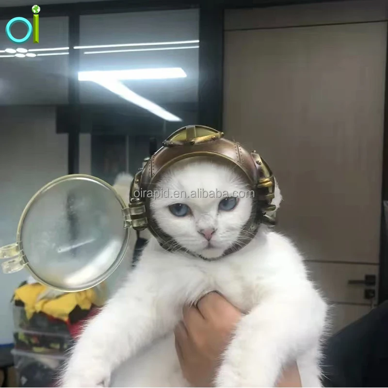 Puppy Cat Hat Helmets Small Pet Cool Fashion Plastic Outdoor Helmets Photo Props Protect Pet Accessories