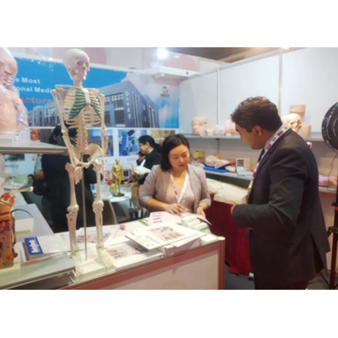 ADA-L64 PVC Peritoneal Dialysis Manikin Medical Science Training Model for Nurses and Schools