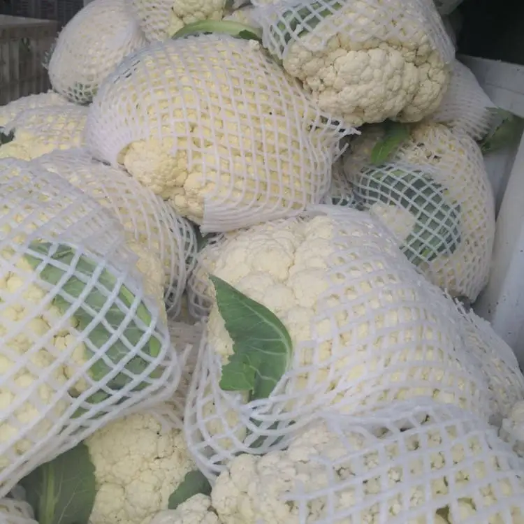 Распродажа с завода, белая капуста, конкурентоспособная цена, свежий Капучинатор, Новые Сезонные овощи