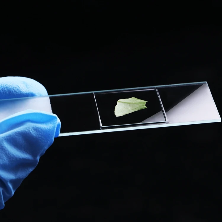 Laboratory Use Microscope Glass Cover Clear Micro Glass Coverslip