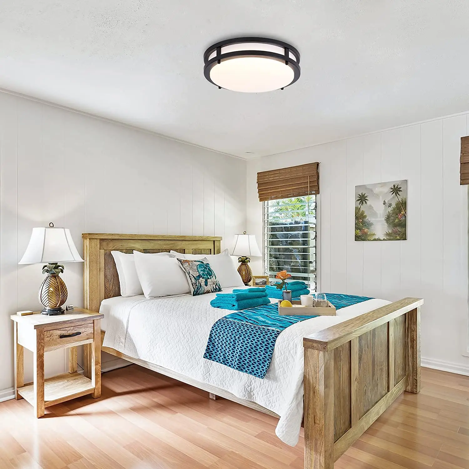 12 inch 16W LED Flush Mount Ceiling Light Fixture 3000K Warm White Black Acrylic Ceiling Lights