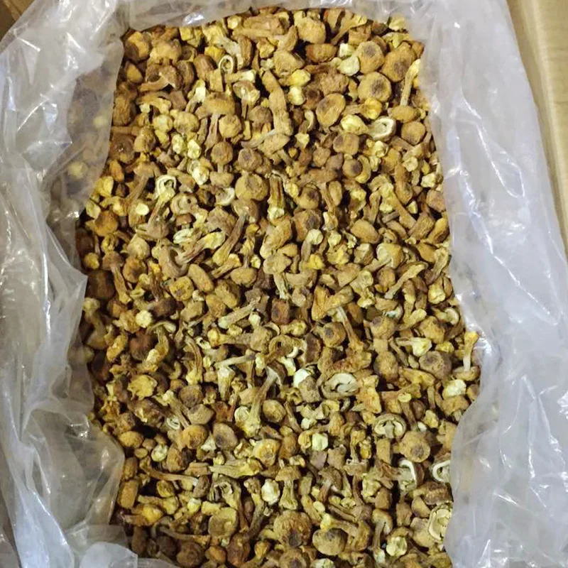 High Quality Dried Wild Tricholoma Matsutake White Pine Mushroom Songrong For Soup Cooking