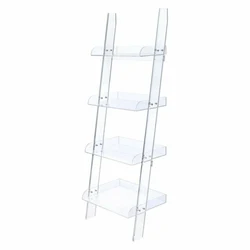 VONVIK Leaning Clear Lucite Book Shelf Bookcase Acrylic Bookcase With Ladder