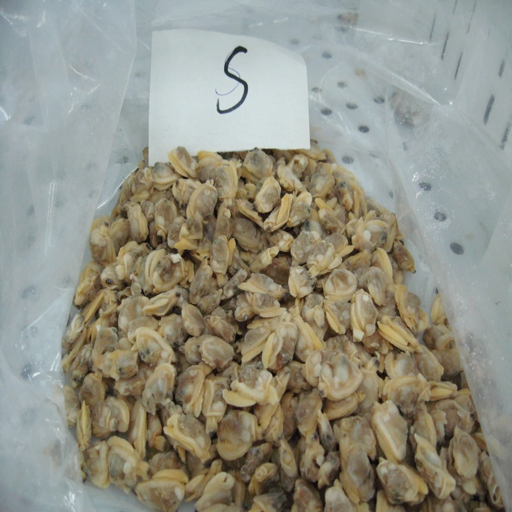 Clam separating machine