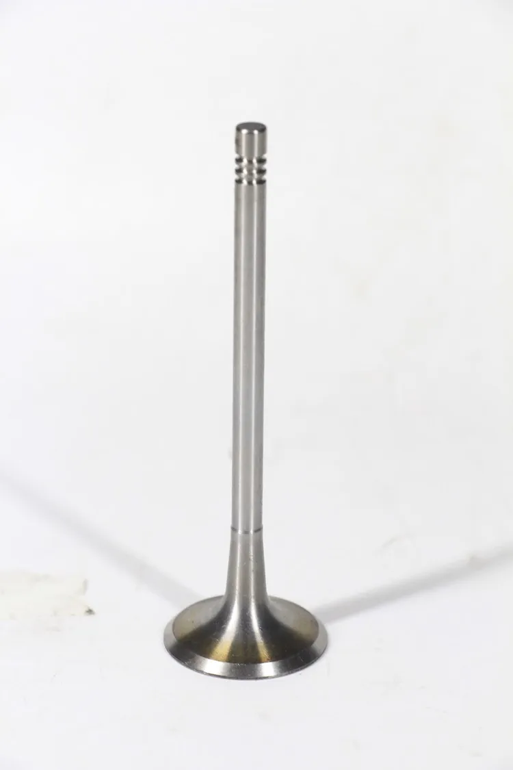 Valve-audi  Engine Intake Valve Auto Exhaust Valve Inlet For Hyundai Kia