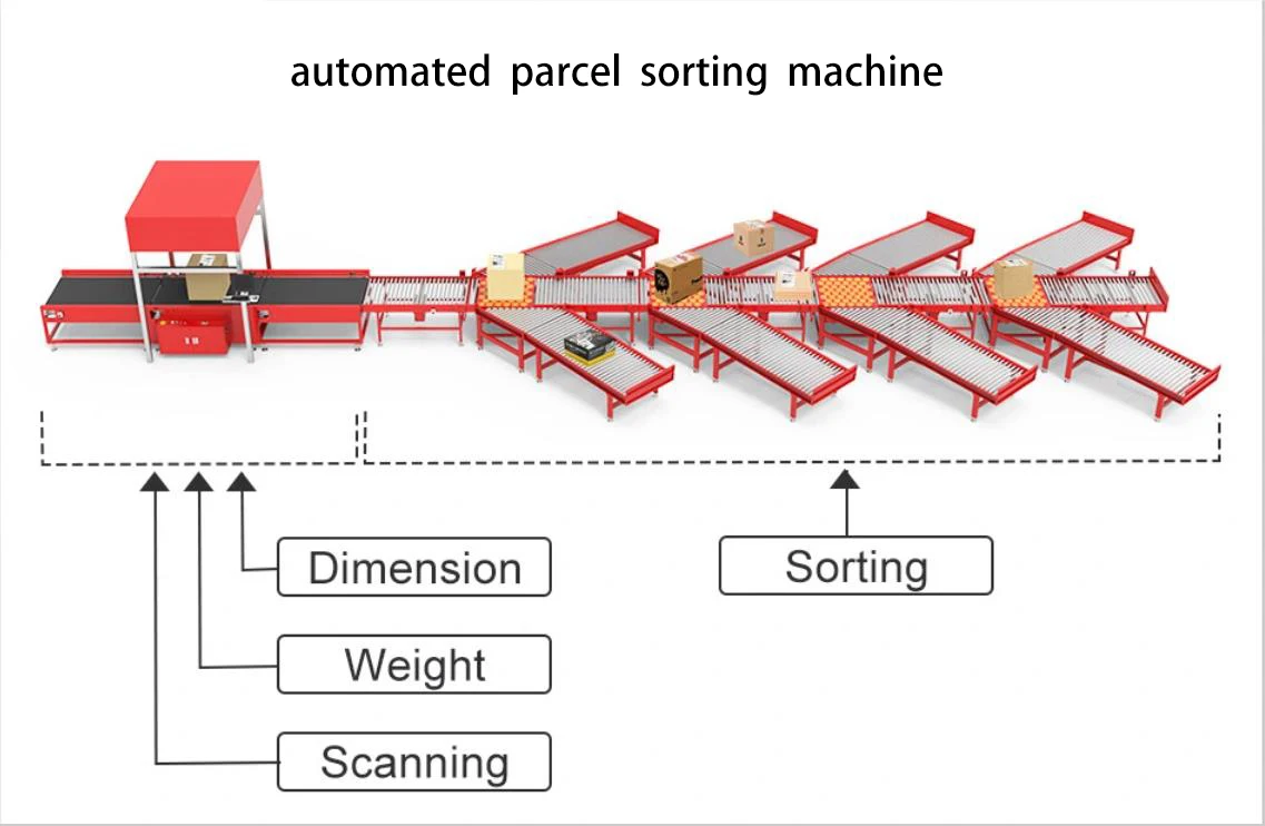 Dws Auto Weight Dimensions Machine Wheel Sorter Conveyor Warehouse Sorting System