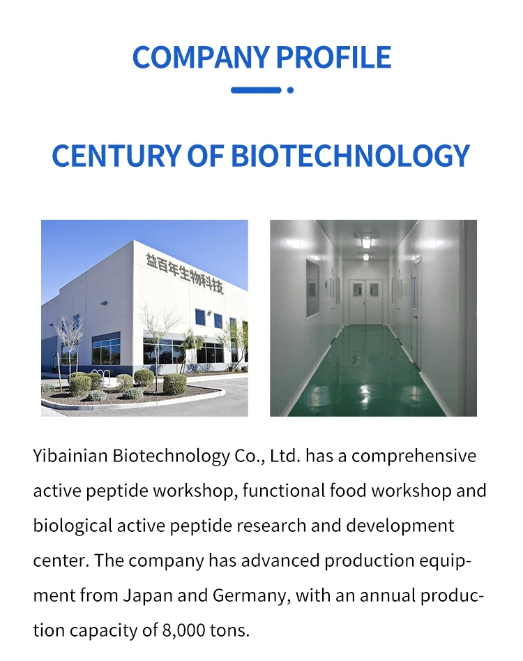 bovine collagen protein