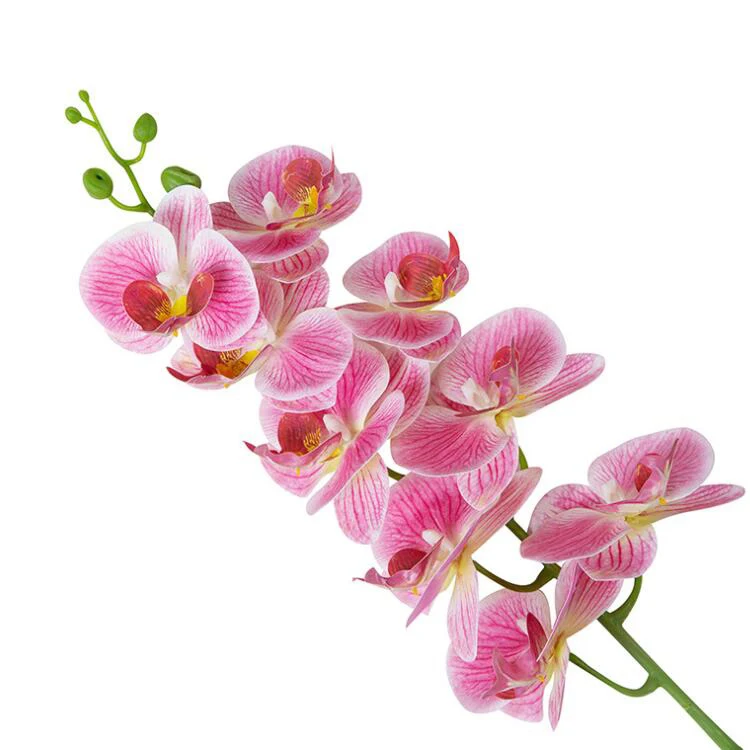 Wholesale Orchid Flower 3D Printing 9 Heads Real Touch Silk Latex Artificial Orchids Phalaenopsis Orchid For Home Wedding Decor