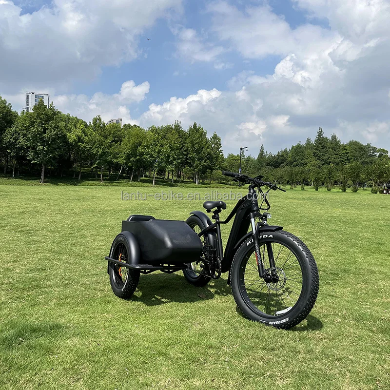 retro style wholesale price cargo ebike with sidecar 3 wheel 750w 1000w 48v fat tire electric bike side car ebike for sale