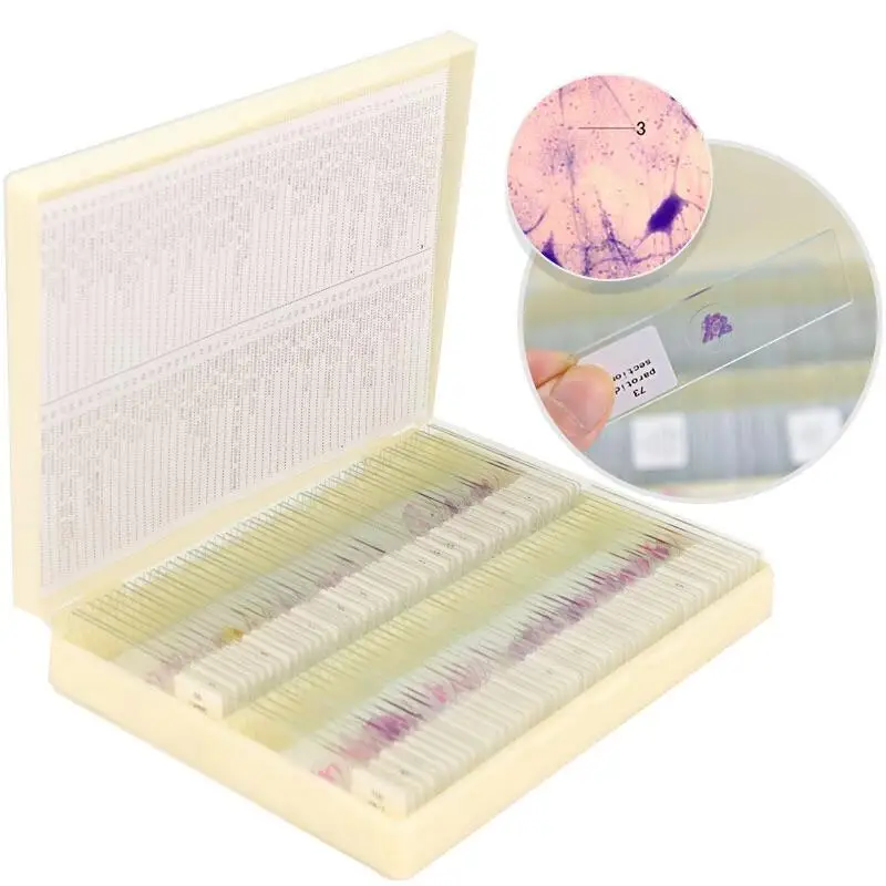 medical science Prepared Glass Microscope Slides for Student science research for human histology slides
