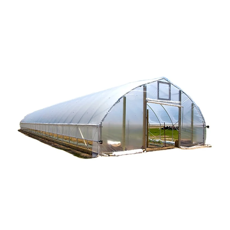 Single Span PE Film Galvanized Steel Frame Greenhouse Agriculture Plastic Greenhouse Tunnel Type