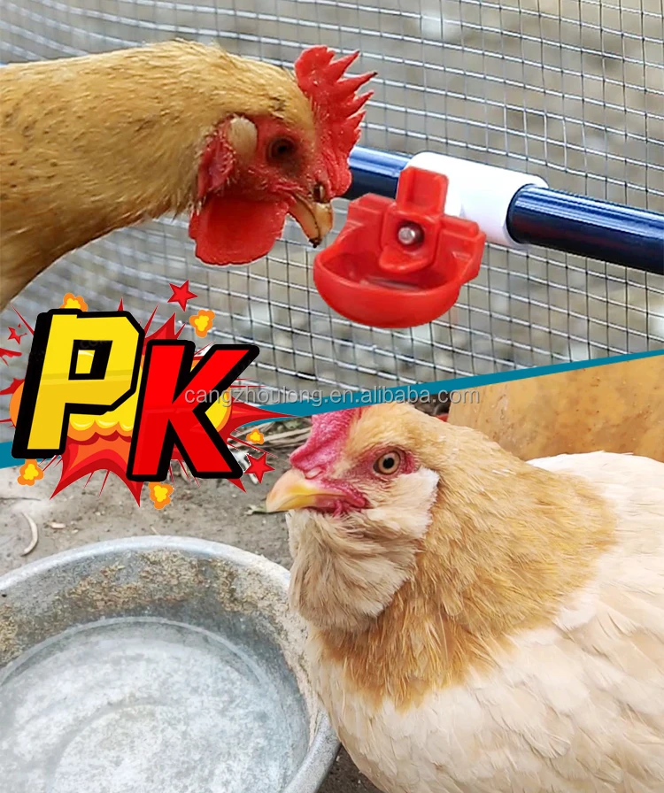 ZB DIY Automatic Backyard Chicken Baby Chick Drinker Complete Set Pipeline Hanging chicken drinker