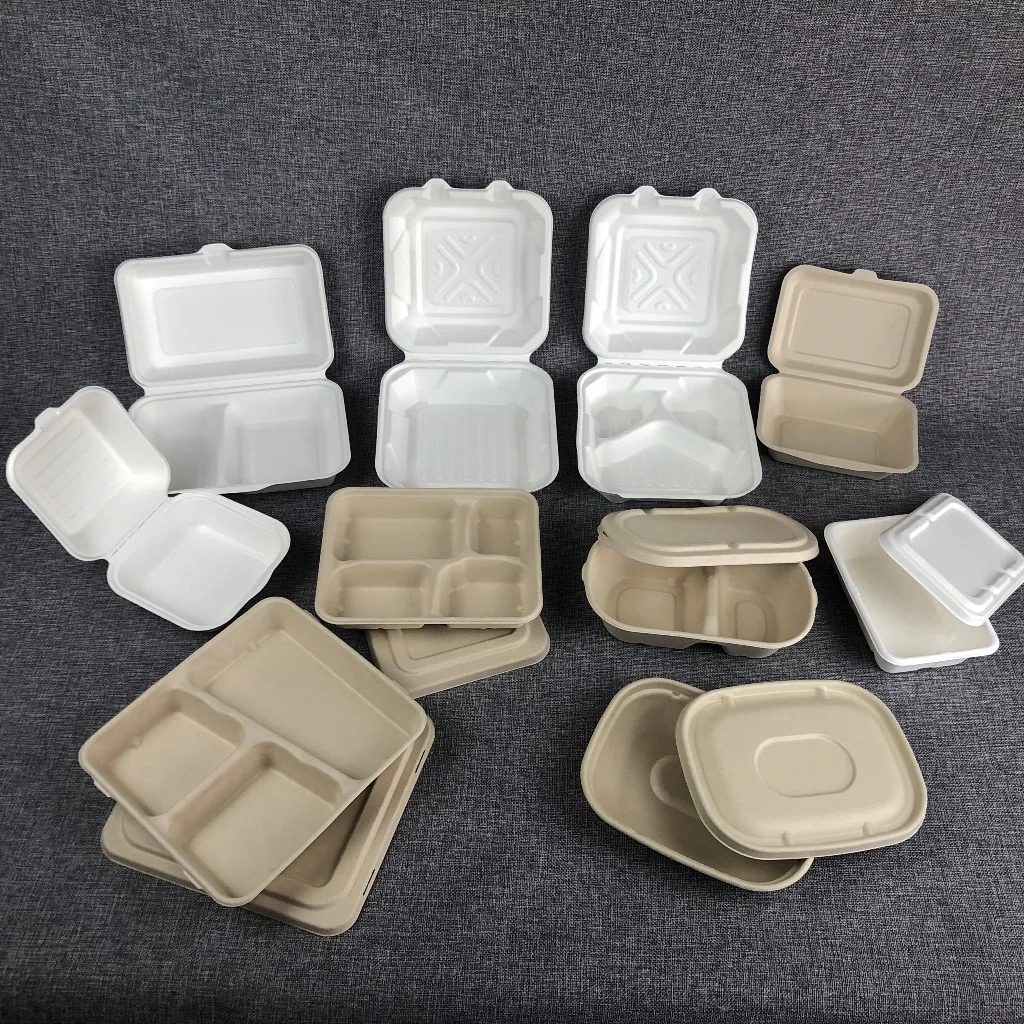 Biodegradable Disposable Takeaway Sugarcane Bagasse Pulp Moulded Fast Food Container Clamshell Lunch Box