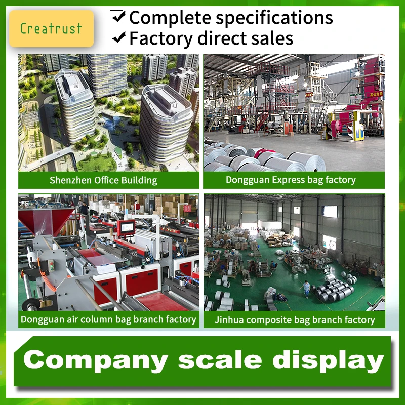 CTCX Custom Mailer Polly Poly Packaged Tearproof Polyethylene Sobre De Envio Plastic Wholesale Shipping Mail Bag