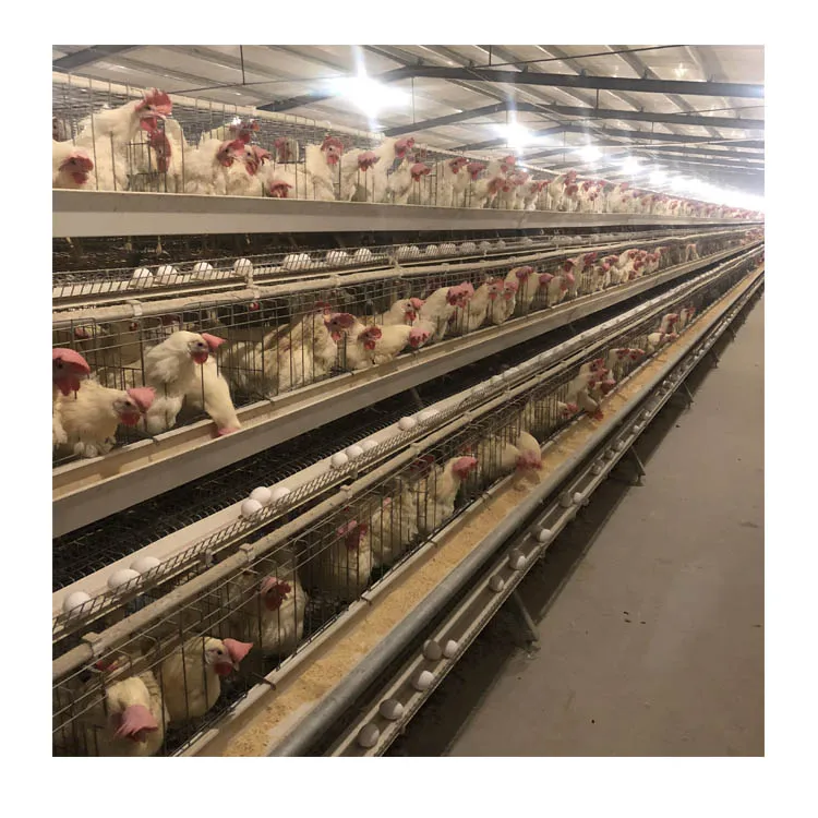 Животное птица с высоким берцем складной птицы клетки для птицеводческой фермы