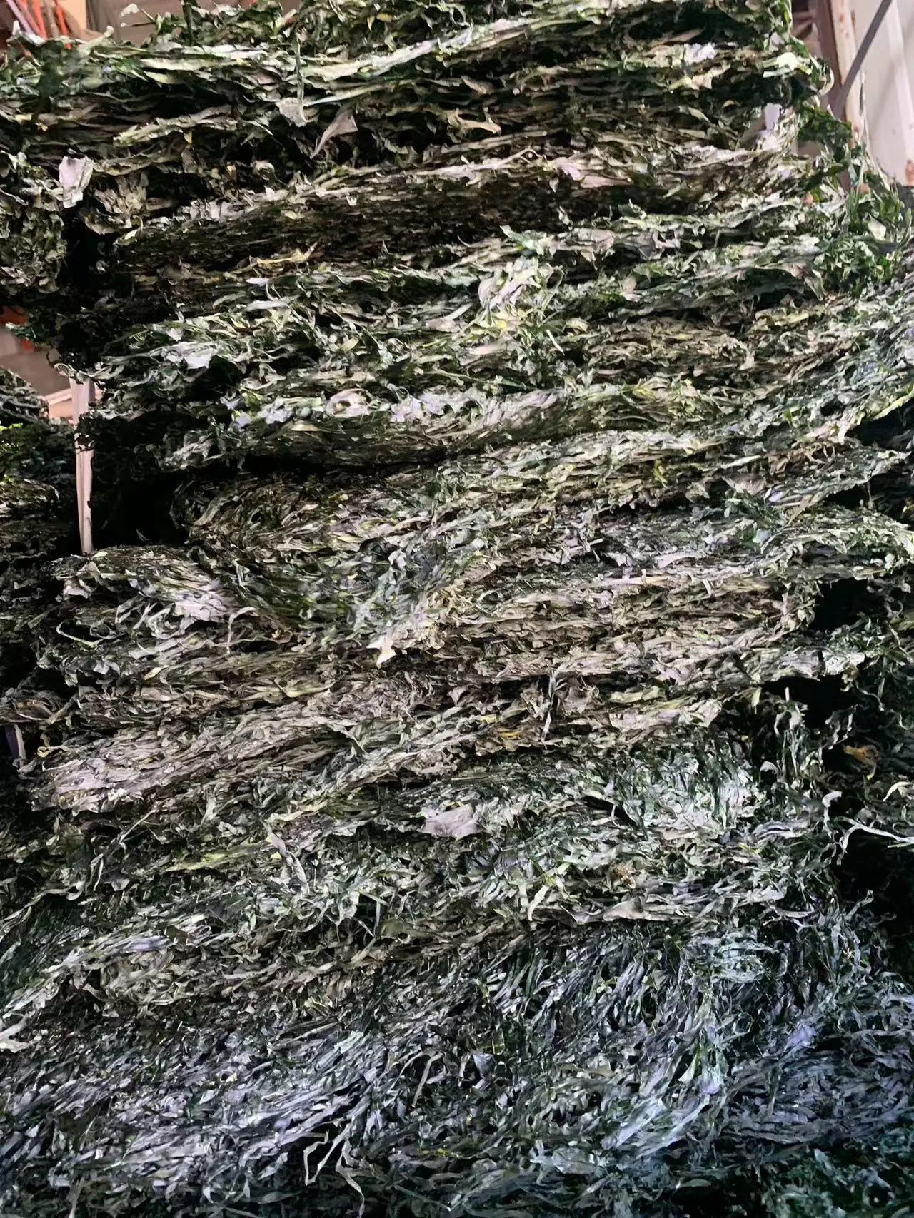 Sea Vegetable  Moss Kombu Dried Sea Kelp Cut