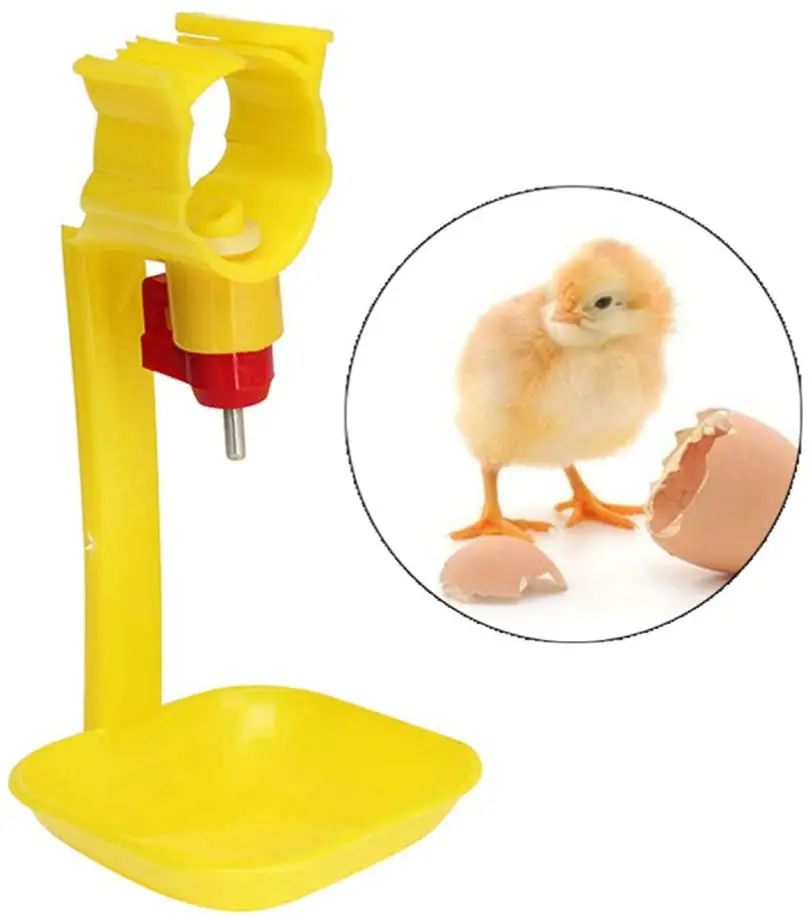 
Птица полива для того чтобы поить чашки курица поилки для полива чашки Миски питьевая вода для птенцов курица перепела 
