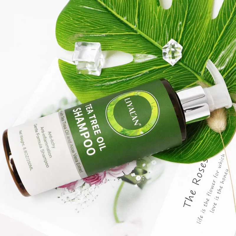 Wholesale Private Label Anti Dandruff Anti-itch Anti-inflammation Natural Tea Tree Oil Shampoo