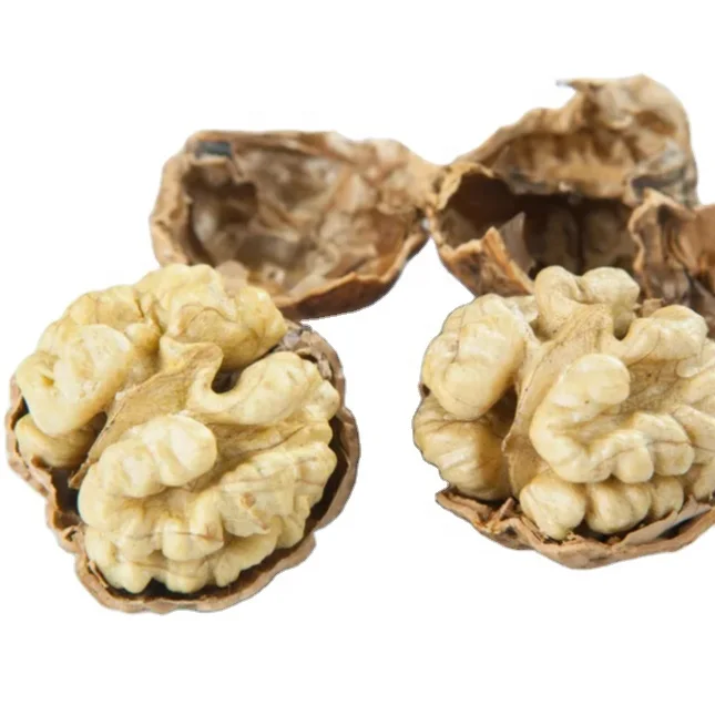 Wholesale a Large Hight Quality Organic Walnuts and Walnut Kernels Halves From Xinjiang