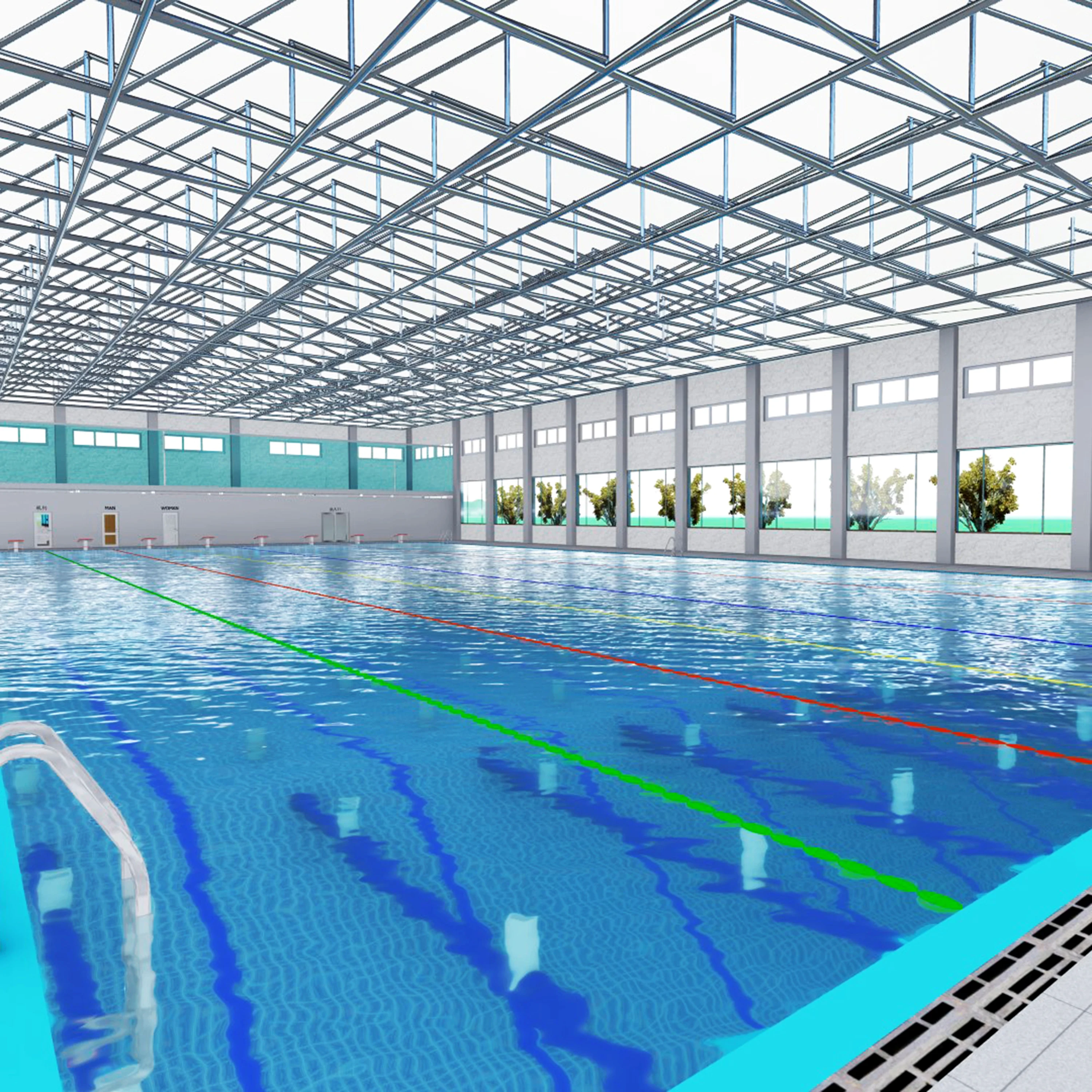 Swimming pool boiler