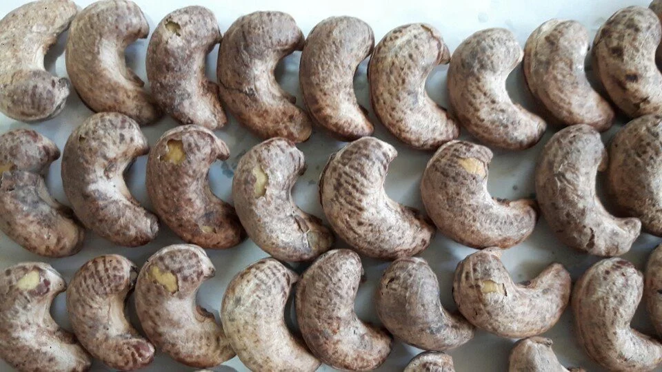 Здоровый сырой орех кешью в скорлупе (упаковка: вакуумные пакеты или жестяная коробка...) Сделано во